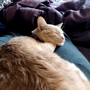 Meet your Posher, Erin